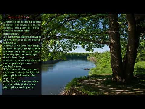Daniel Stoica - Psalmul 1 - trasaturile omului fericit