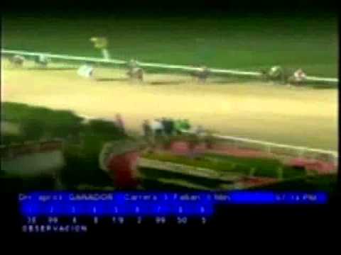 Resumen Jueves, 03 de Noviembre de 2011 - Valencia