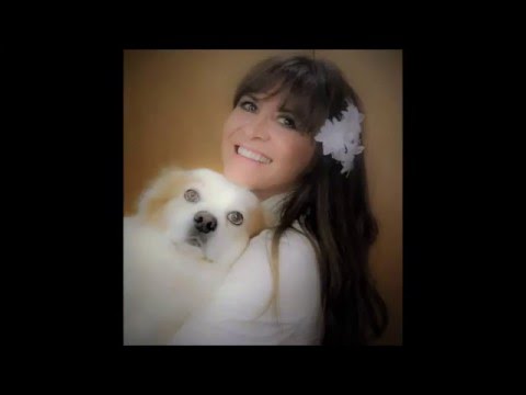 ROSA MADEIRA-UM FADINHO