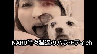 ギター 弾き語り　トゥルーラブ❤️
