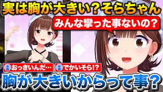 夜中に突然そらともに夢を与えるそらちゃん【ホロライブ/ときのそら/切り抜き】
