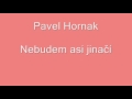 Nebudem asi jinačí - Pavel Horňák