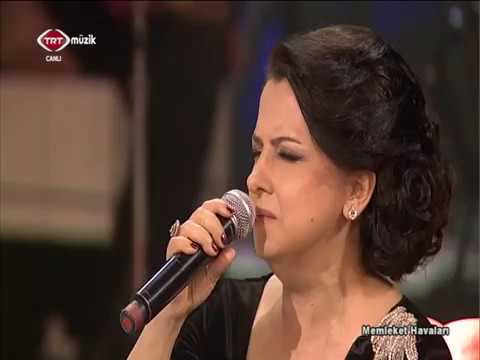 Baba Bugün Ayrıldım Özlerinden / Münevver Özdemir