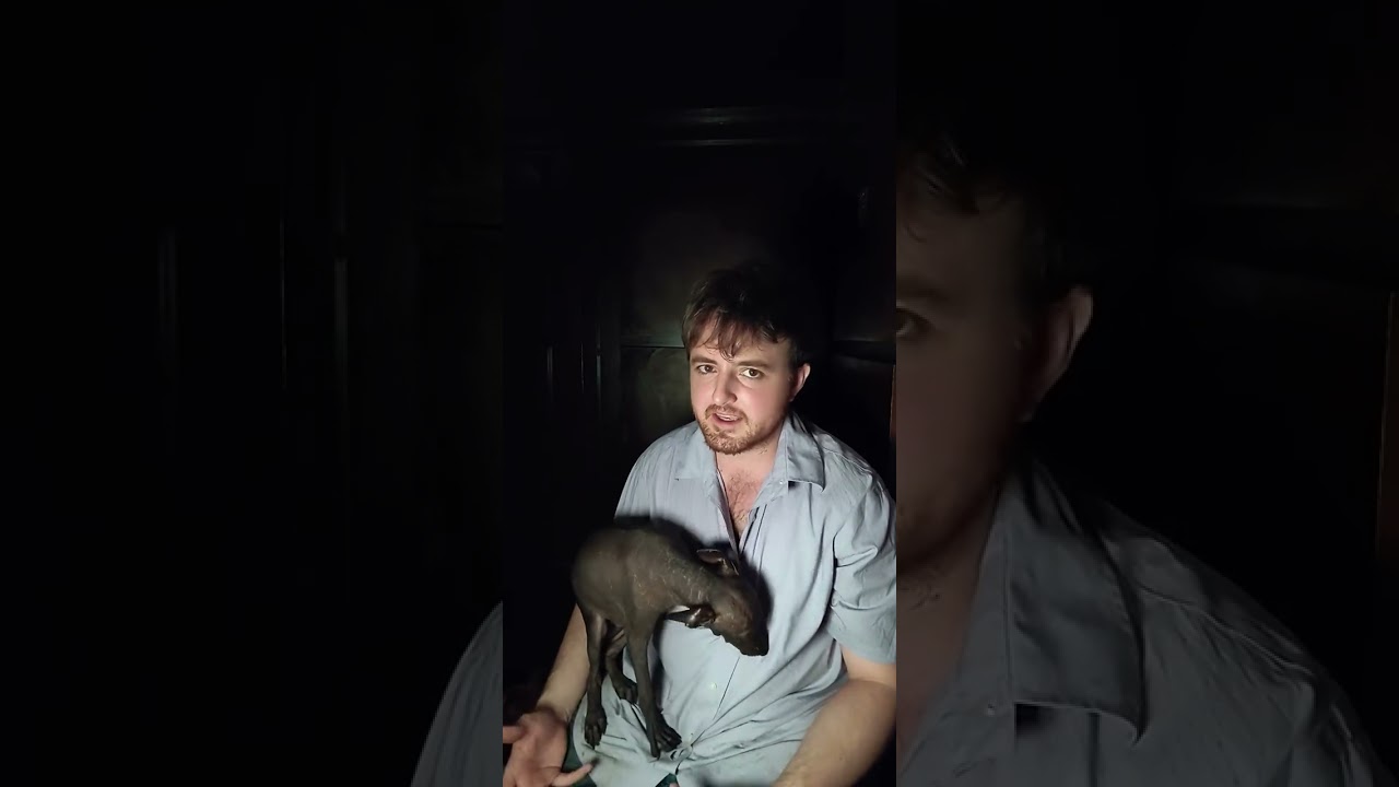 Humo Ramírez y XolosArmy Update