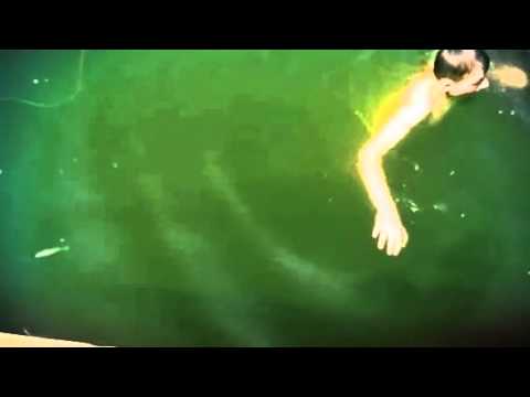 uszol   (Created with @Magisto)