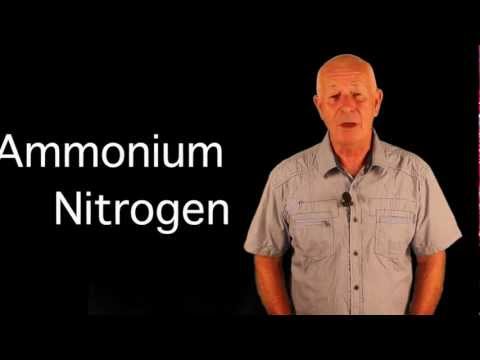 Ask Mike - Why Does The PH Go Up In My Nutrient Solution?
