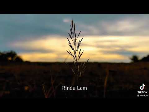 cut adek sidroe keu ayeum mata(lagu terbaru)2022