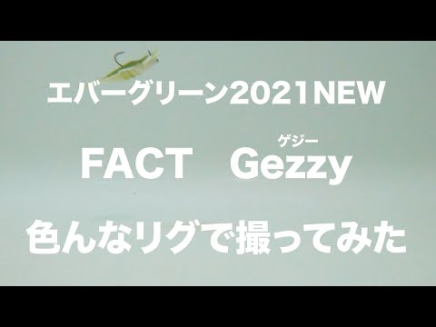 【水中映像】謎多きワーム、ゲジーをインプレ！色んなリグで撮影してみた【エバーグリーン】