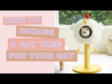 Cat Tree 101: How to choose a cat tree for your cat(s)