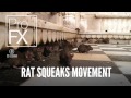 Rat Squeaks Movement Animal Sound Effects ProFX Sound Sound Effects Free Sound Effects