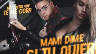 El Greys L - Soltera [Video Lyrics]