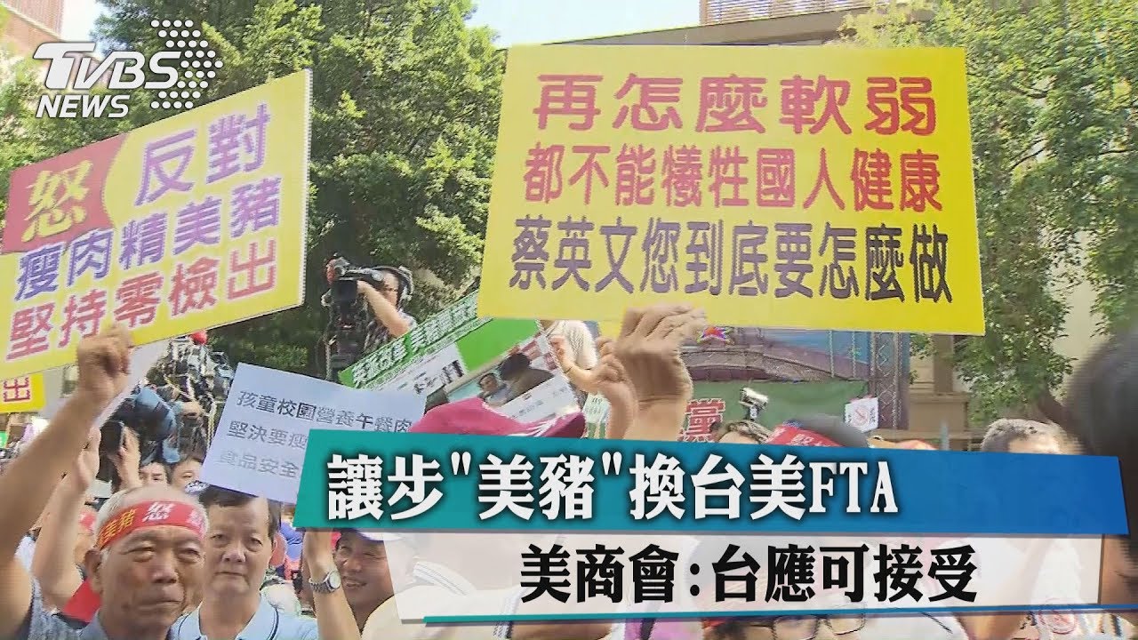 讓步「美豬」換台美FTA　美商會：台應可接受