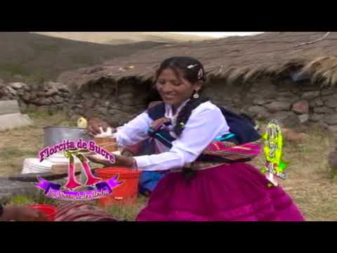 Florcita de Sucre y Ñato de Paucaray-Pretensiocito