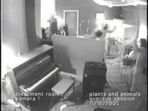 Plants and Animals recording at the Treatment Room, Montreal