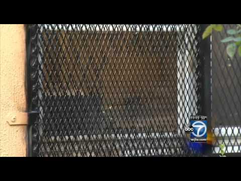 Barry Farm: Thief steals 100 keys from Barry Farm