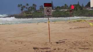 Super Swell! Waimea Bay hit by 50 ft Waves on Big Wednesday