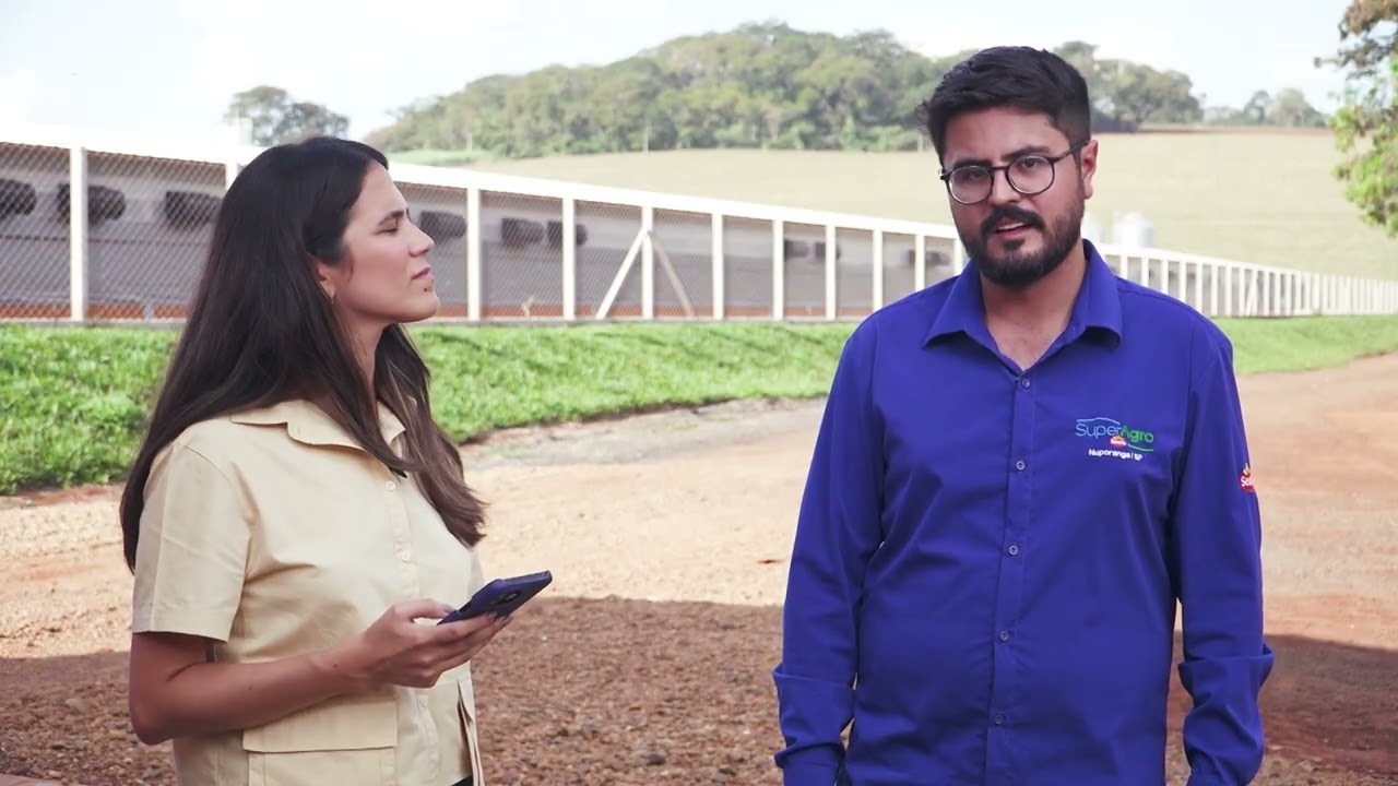 Investir em aviários exige planejamento, financiamento e acompanhamento técnico | Interligados