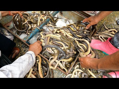 Amazing Wholesale Market Located in Phnom Penh @Kilometer 9|Malis