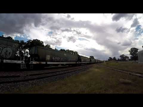 Pacific National train at Stockinbingal NSW