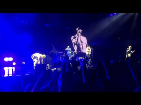 Red Hot Chilli Peppers - By the Way - Frankfurt 19.11.2016