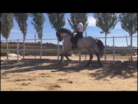 RAFAEL SOTO & SUREÑO