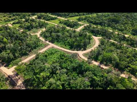 img-video