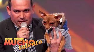Alan y Frankie - "Amor De Los Dos" - TTMT 18 Eliminatorias