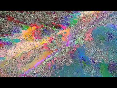 Citizens At Risk - Slow Tide (Official Video)