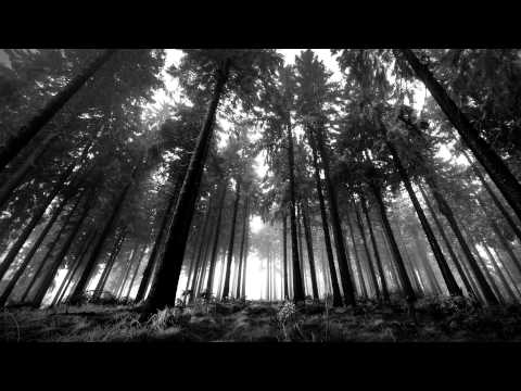 Swarm Intelligence - The Sinners Lie In The Forest