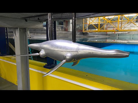 The Hydrodynamics of the World's First Scientifically-Accurate Plesiosaur Robot