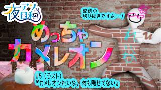 【めっちゃカメレオン】隠れるのが下手すぎるめっちゃカメレオン #5 （ラスト）【夜アソ日和】
