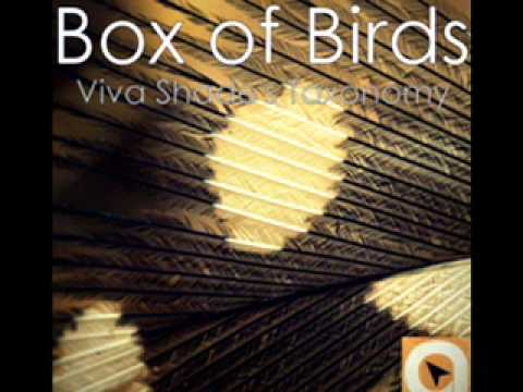 Lozt - Box of Birds (Viva Shade Taxonomy)