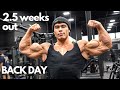 2.5 WEEKS OUT!| BACK DAY