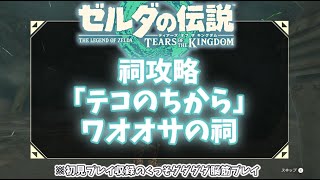 【ゼルダ 祠攻略】（ゆっくり淫夢実況）「テコのちから」ワオオサの祠【ゼルダの伝説 ティアーズ オブ ザ キングダム】