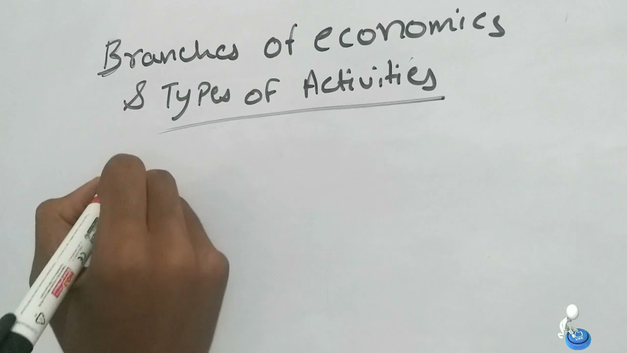 Branches of economics & Types  of activities class 9 ICSE. Chapter 2 Economics