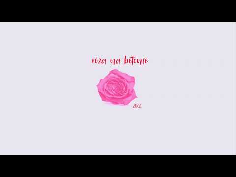 ZKRZ - róża na betonie (prod. dejxrd)