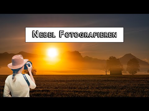 Fog Photography the right way - How To take a picture - Tips and Tricks