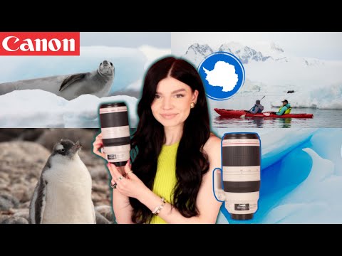 Canon EF 100-400mm f/4.5-5.6 L IS II USM Lens Review