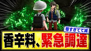 【緊急# 22】香辛料さんが約束したスパイスを完全調理！相棒完治救済最強調達www【ポケモンSV】
