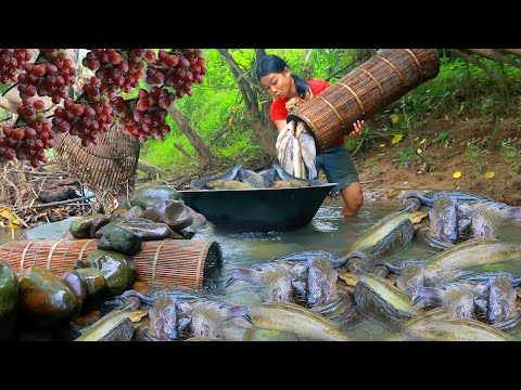 Women Build Fish Trap From Stone Catch Fish -  Steaming Fish for dog Eating delicious HD