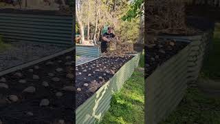 What Happens When You SURFACE LAY potatoes?