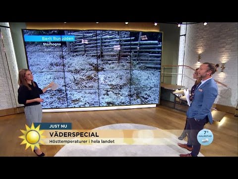 Meteorologen: "Nu har vi 3 årstider samtidigt"  - Nyhetsmorgon (TV4)