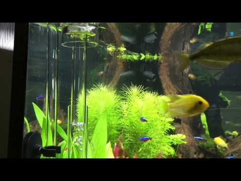 Watch Video on YouTube