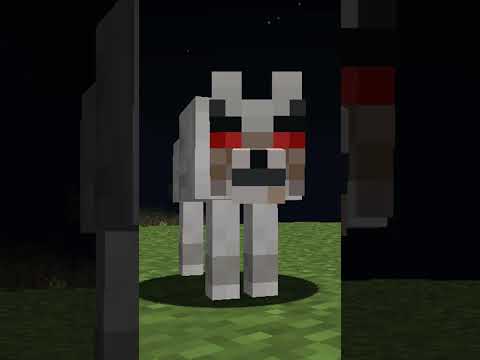 ¿POR QUÉ LOS LOBOS TE ATACAN CUANDO LOS GOLPEAS? #minecraft #minecraftshorts #shorts