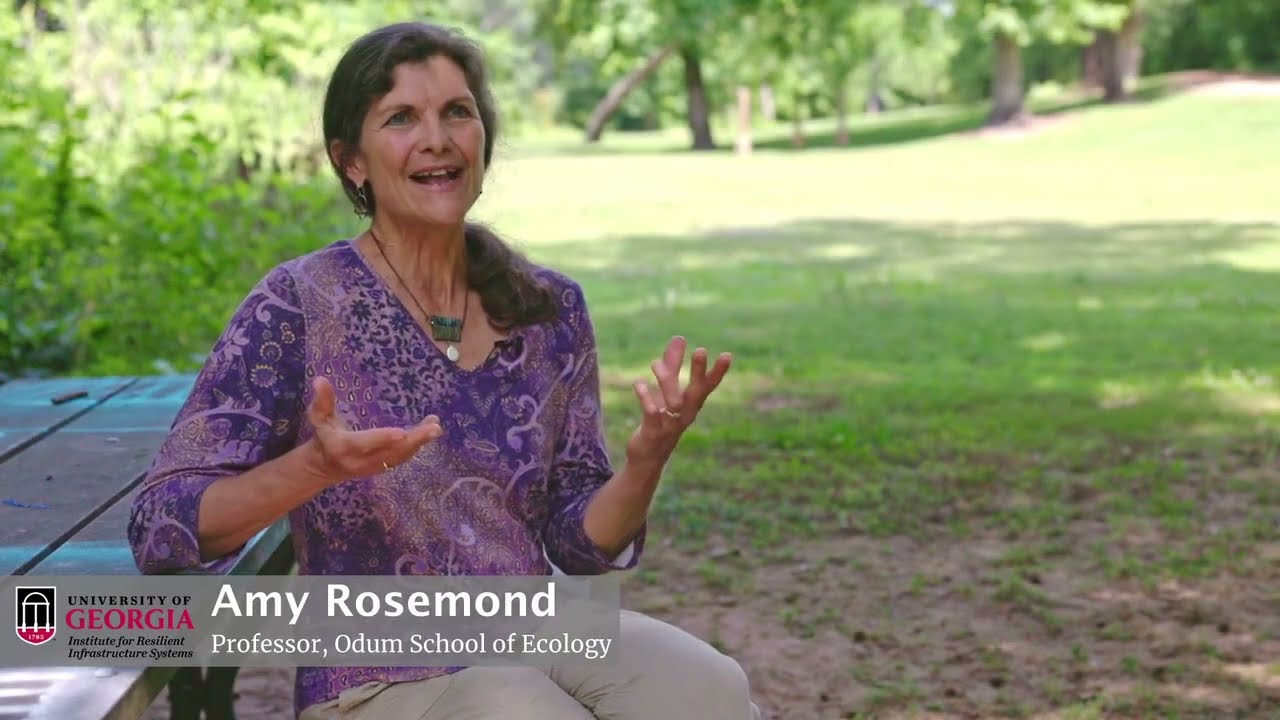 About the Institute for Resilient Infrastructure Systems