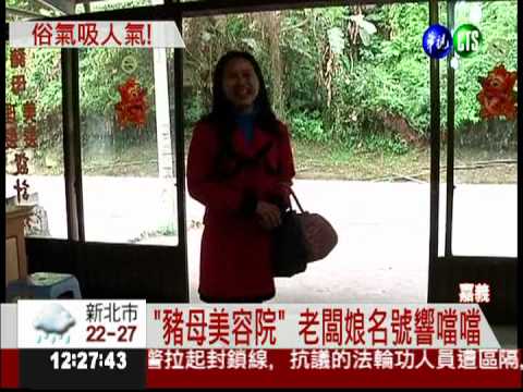 俗擱有力! "豬母美容院"高朋滿座