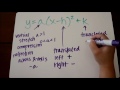 Quadratic Transformations Vertex Form Tutorial