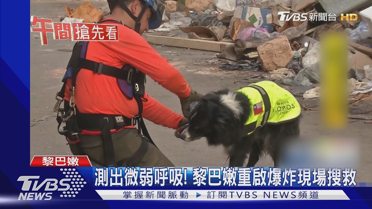 搜救犬狂吠！　貝魯特爆炸瓦礫中現生命跡象