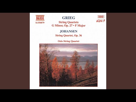 String Quartet in G Minor, Op. 27: I. Un poco andante - Allegro molto ed agitato