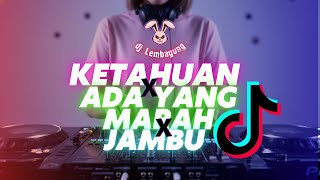 Download lagu DJ KETAHUAN X ADA YANG MARAH X JAMBU – VERSI REMIX  FULL BASS l DJ LEMBAYUNG mp3